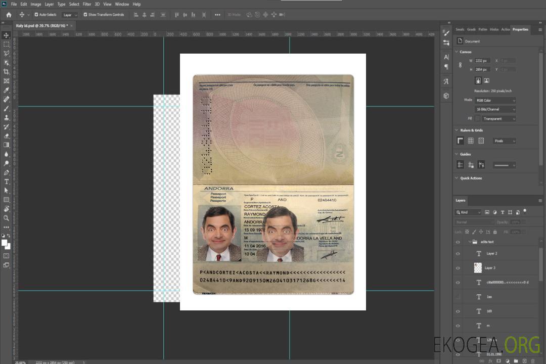 Passeport andorran 2016-présent template